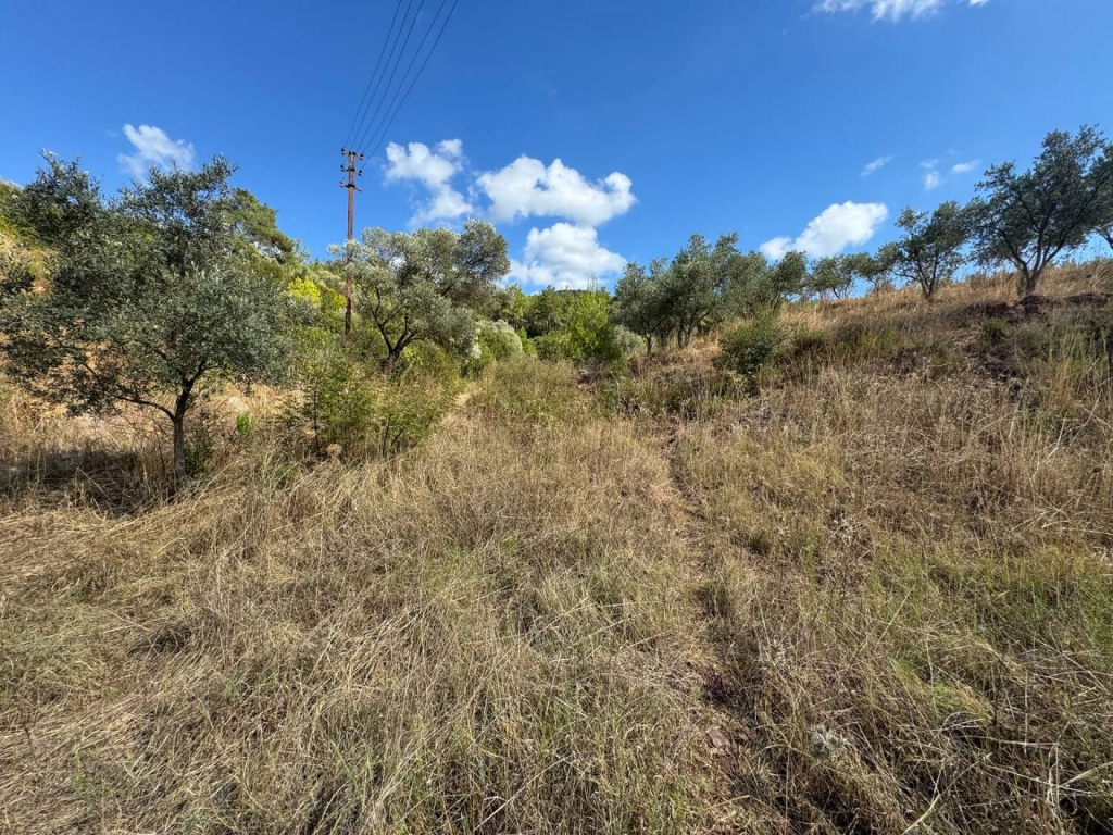 Seferihisar Orhanlı'da 12.5 Dönüm İçinde Satılık 6+1 Ev ve Tarla-c5fae2fb24.jpg