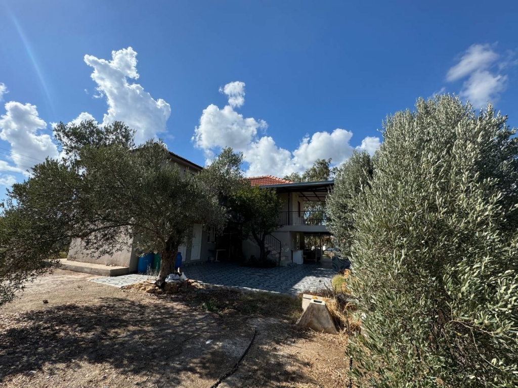 Seferihisar Orhanlı'da 12.5 Dönüm İçinde Satılık 6+1 Ev ve Tarla-d009afd9e1.jpg