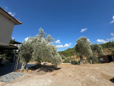 Seferihisar Orhanlı'da 12.5 Dönüm İçinde Satılık 6+1 Ev ve Tarla-thumb-2c723a5cf6.jpg