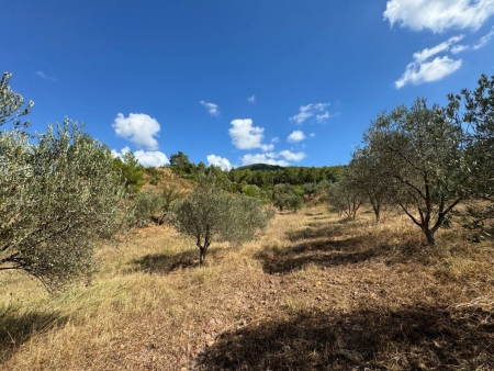 Seferihisar Orhanlı'da 12.5 Dönüm İçinde Satılık 6+1 Ev ve Tarla-thumb-405c4b8ac2.jpg