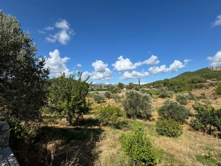 Seferihisar Orhanlı'da 12.5 Dönüm İçinde Satılık 6+1 Ev ve Tarla-thumb-50d181c348.jpg