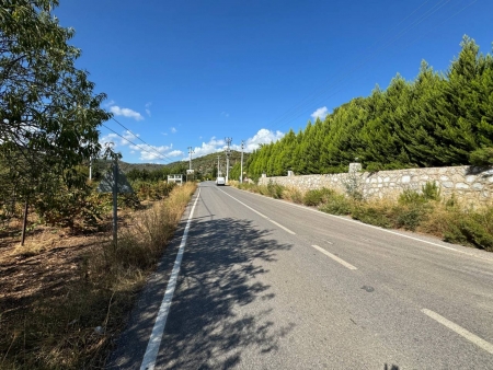 Seferihisar Orhanlı'da 12.5 Dönüm İçinde Satılık 6+1 Ev ve Tarla-thumb-78d6ca342c.jpg