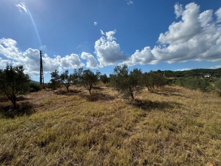 Seferihisar Orhanlı'da 12.5 Dönüm İçinde Satılık 6+1 Ev ve Tarla-thumb-a758717adb.jpg