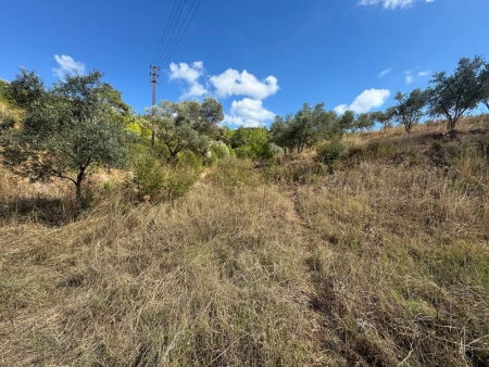 Seferihisar Orhanlı'da 12.5 Dönüm İçinde Satılık 6+1 Ev ve Tarla-thumb-c5fae2fb24.jpg